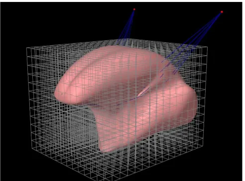 Figure 6: The tongue surface mesh and FEM structure after removing  elements that are not inside the surface mesh