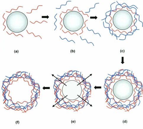 Figure 1.1 Schematic illustrations of the polyelectrolyte deposition process and of subsequentwashing and centrifugation