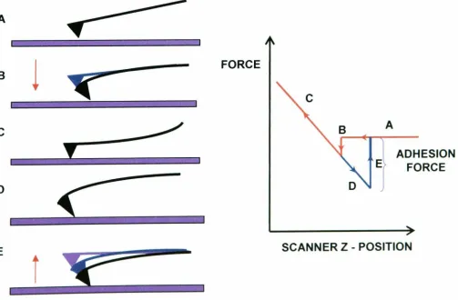 Figure 1.14 Schematic representation of an AFM force-distance (approach) curve.