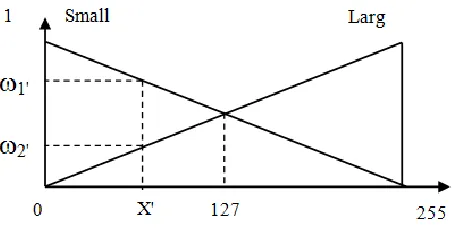 Figure 6 : (a) Front View Image of Greenhouse 