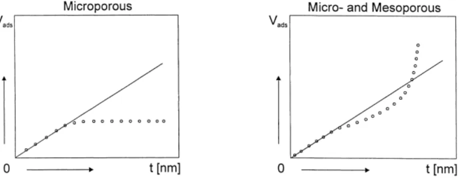 Fig. 6. The shapes of the calculated t-plots strongly deviate from the ideal t-plots shown in Figs