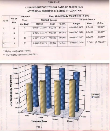 Fig. 3 : Liver weight/Body weight ratio of albino rats after mercuric chloride intoxication ** Highly significant 