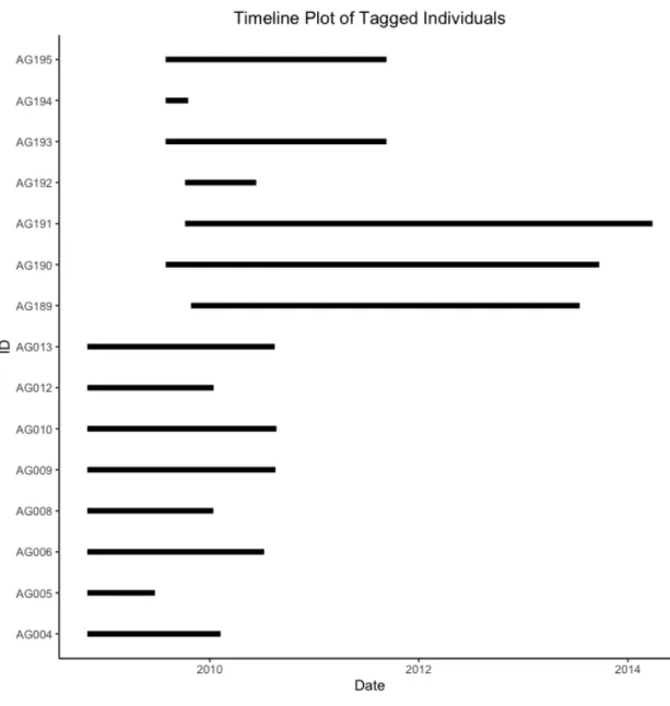 Figure 2: Sampling Timeline Plot. A segment graph demonstrating the sampling period for each in- in-dividual in the elephant dataset
