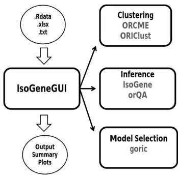 Figure 1: The general structure of the IsoGeneGUI package.