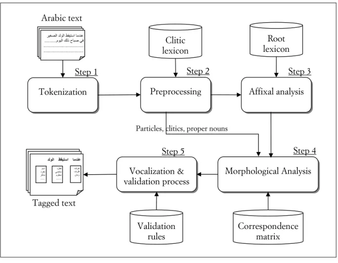 Figure 1. Proposed morphological analysis method  