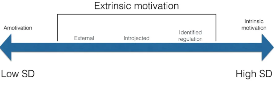 Figure 2. Connection between self-determination (SD) dimensions and motivation.  