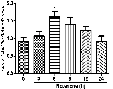 Fig.1 Rotenone induced the damage of MES23.5 cells in a concentration- and time- dependent manner
