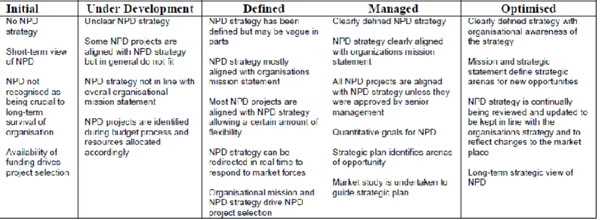 Figure 4: Key Process Area: Strategy.  Source: (Nicholas &amp; Ledwith, 2006, p.7) 