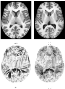 Figure 9: Slice of (a) source and (b) target brain image and optimal transport map for (c)Euclidean and (d) squared Euclidean cost function
