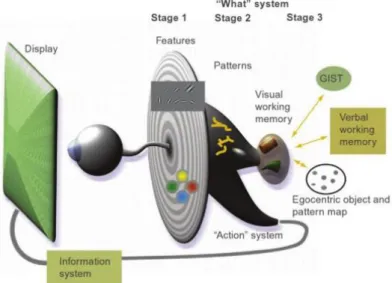 Figure 8 - Simplified three-stage model of processing visual information [1]