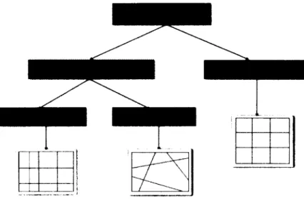 Figure 2.3: Types of Data Grids 
