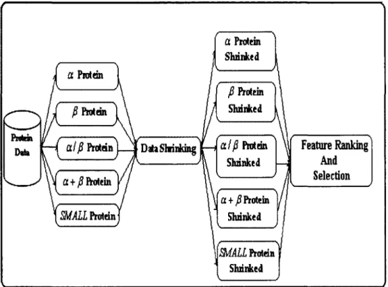 Figure 5.1: Data Shrinking Based Feature Ranking Framework 