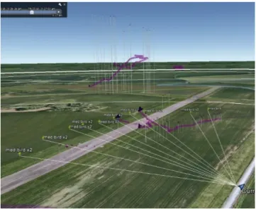 Fig.  3. Opportune  bird  target  “med  bird  x2”  images  displayed  on  GoogleEarth showing orientation lines correlating with a radar track
