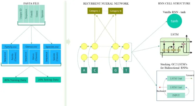 Figure  4.1:  Overall  architecture  of  data  flow  and  RNN  cell  structures  used  in  Model  1  (Vanilla RNN), Model 2 (LSTM) [28], and Model 3 (BiLSTM)