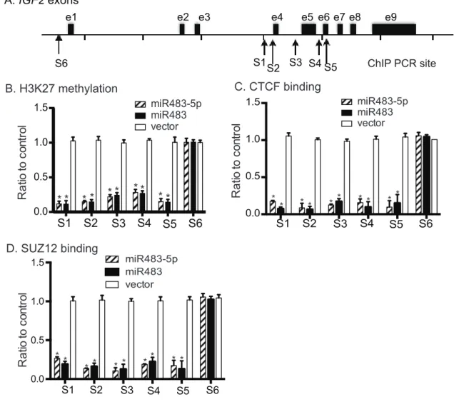 Figure 6: Epigenetic modifications in the IGF2 promoters.  A. Schematic diagram of the IGF2 genes and the location of PCR  primers