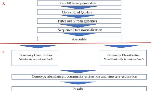 Figure 2. Bioinformatics pipeline to analyze NGS dataset for viral metagenomics. Part A  represents steps in processing of NGS data to make sequences ready for Part B – Taxonomy  classification