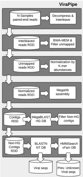 Figure 5. Workflow of ViraPipe. 