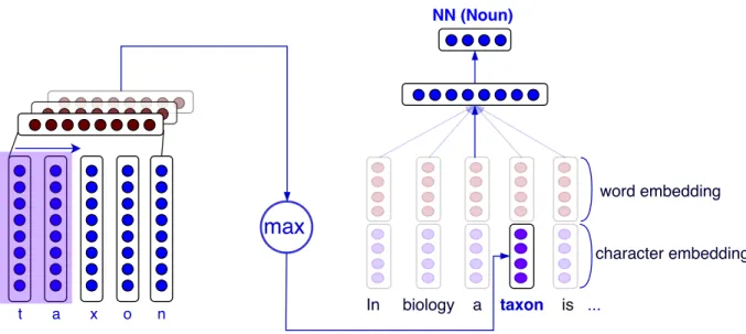 Figure 1.9. Hierarchical CNN + MLP for part-of-speech tagging with character embeddings as input