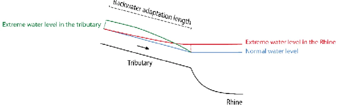 Figure 5: backwater effect at the location where a tributary flows into the Rhine. 