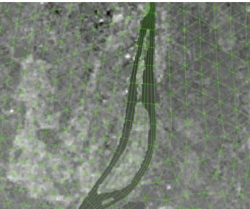 Figure 9: coarse grid (shown in green) at the Réserve Naturelle de l’Île du Rohrschollen as an example of a river grid that diverges from four  to eight/nine computational cells