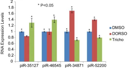 Figure 11: Modulation of piRNA expression by Dorsomorphin and Trichostatin.  H1299 lung cancer cells were treated with  Dorsomorphin (Dorso) or Trichostatin (Tricho) and the expression of specific piRNAs was assessed