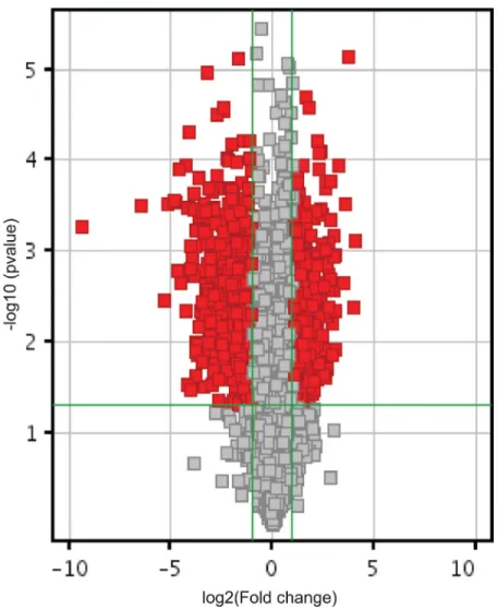 Figure 2: RASSF1C piRNA target gene expression.  Volcano plot shows piRNA differential expression in lung cancer cells over- over-expressing RASSF1C and controls using fold-change values and P-values