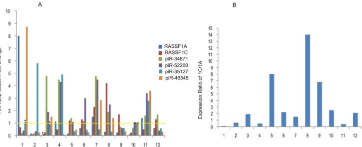 Figure 4: Expression profiling of selected piRNAs in lung tumors.  (A) Expression of RASSF1C, RASSF1A, and selected  piRNAs was assessed in lung tumor samples by RT-PCR using gene-specific primers