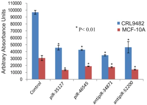 Figure 6: Over-expression of piR-35127 and piR-46545 in lung cancer cells.  Treatment of lung cancer cell lines (A549, H2199,  and HT520) and breast cancer cell lines (Hs578T and MDA-MB-231) with 500 nM of piR-35127 and piR-46545 mimic RNA oligos  decrease