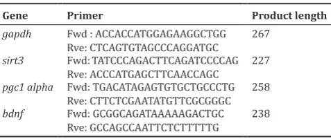 Table 1: Primers for RT-PCR