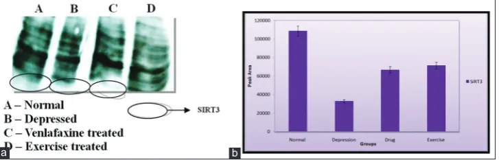 Table 2: Effect of exercise on behavioral changes in depression-induced animal models