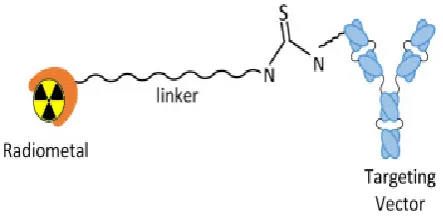 Fig. 1: Bifunctional chelator approach. 