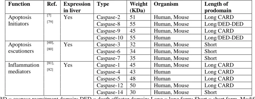Table 3: Commonly known essential caspases participating in apoptosis.  