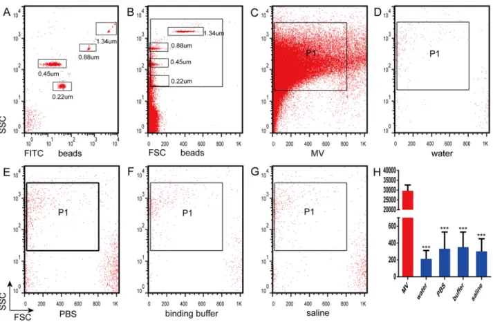 Figure 2: Analysis of nanoparticles by flow cytometry.  (A) Nanoparticles were analyzed by flow cytometry based on fluorescein  isothiocyanate fluorescence and side scatter count (SSC)