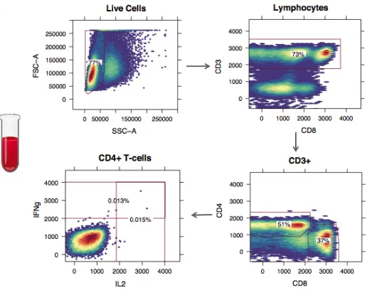 Figure 5: A simpliﬁed example of cell subsets identiﬁcation by manual gating analysis