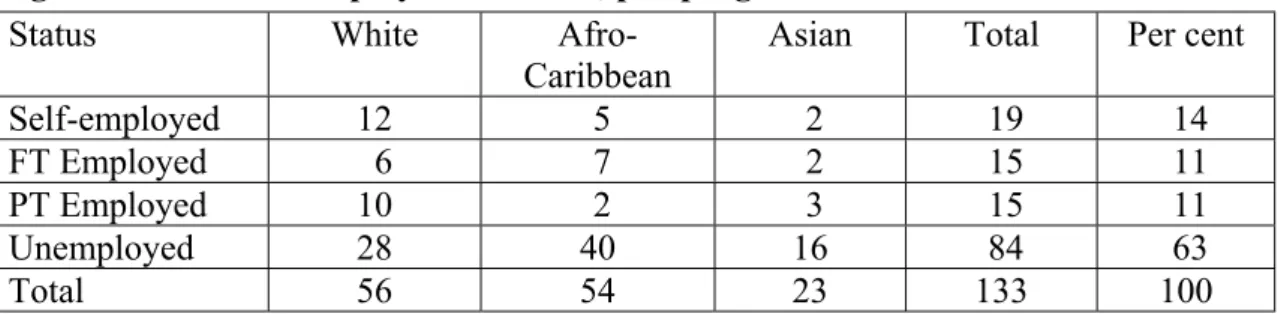 Figure 1.3: Male Employment Status, pre-programme 