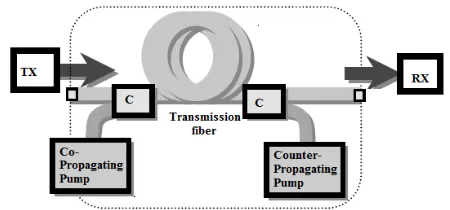 Figure 1: Schematic Representation of an Optical Amplifer 