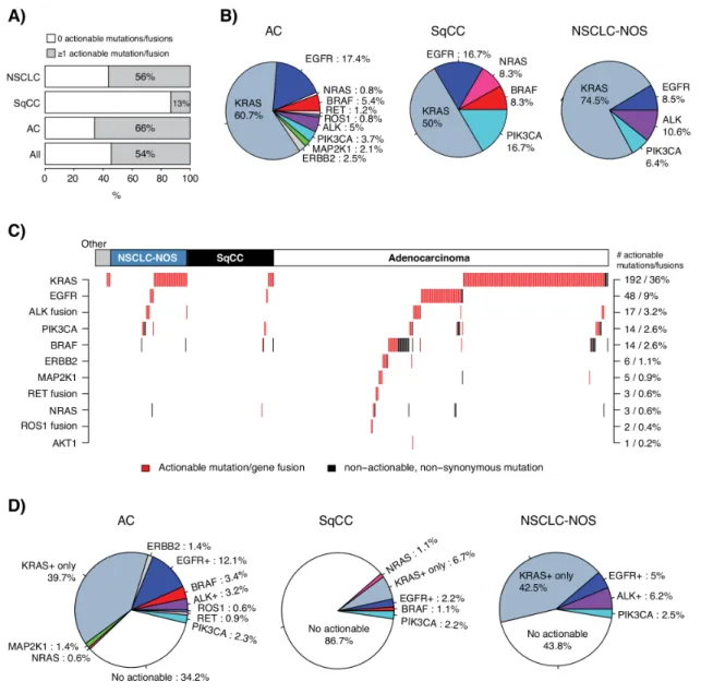 Figure 4: Integration of actionable mutations and gene fusions in the consecutive 533-sample cohort