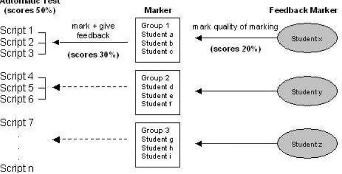 Fig. 2. Peer assessment mark scheme