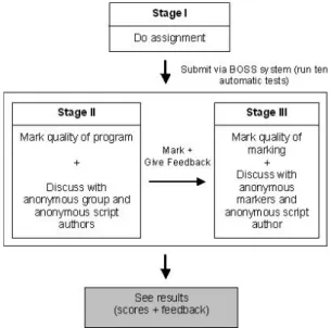 Figure 12 Peer assessment process 