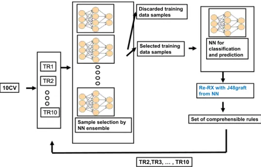 Fig. 2. Schematic overview of sampling Re-RX with J48graft NN: Neural network.