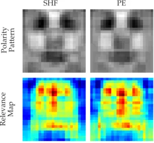 Figure 7: Polarity patterns and relevance maps of the Standard Haar-like Features ( SHF ) and Polarity Enhanced Haar-like features ( PE ) detectors.