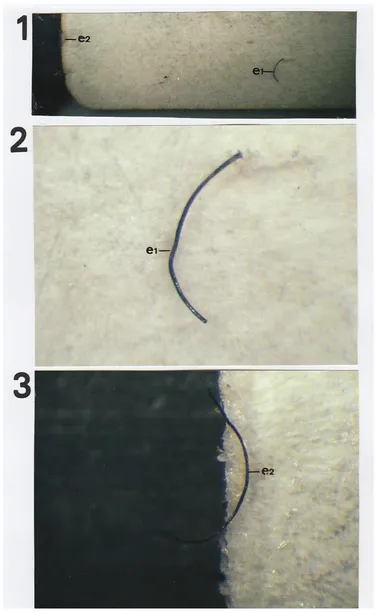 Figure 2: Optical microscopy of the SP.1 : micro-photograph (2x) of the SP; e2: EB2; e1:EB1.2: micro-photograph (80x) of EB1.3: micro-photograph (80x° of EB2