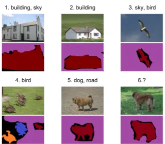 Figure 1. Example of images taken from MSCV2 dataset. Below each image, a segmentation into instances are provided