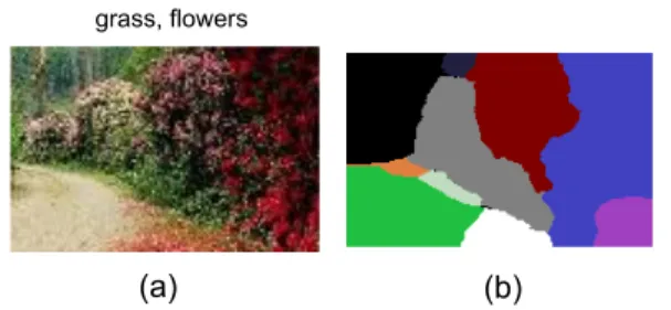 Figure 5. An example image (bag) with novel class instances in Corel5k-10. (a) is the image labeled as ‘flowers’ and ‘grass’
