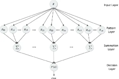 Fig. 1  PNN structure 