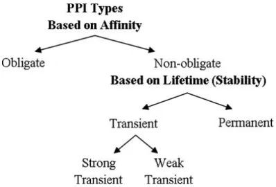 Fig. 2.4 Relation of types based on affinity and stability. Non-obligate interactions are transient but there are some examples of permanent non-obligate interactions such as enzyme-inhibitor interactions