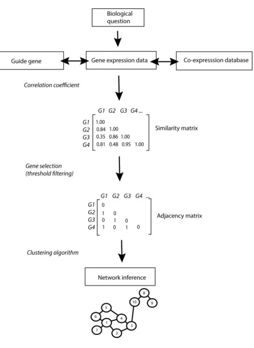 Fig. 2.6 Co-expression network inference pipeline. Figure reprinted from Serin et al.