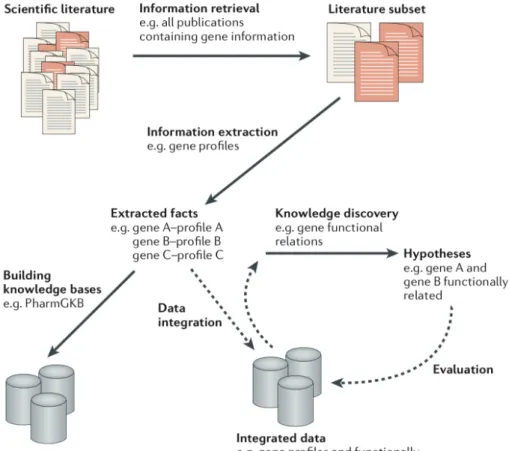 Fig. 2.7 Pipeline of text mining solution. Figure reprinted from Rebholz-Schuhmann et al