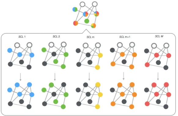 Fig. 4.1 Binarization of multi-label MRFs. The graph with multi-colored nodes on the top represents the general PPIN