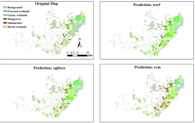 Figure 3. Comparison of mapped and predicted wetland distribution in Manning River Estuary